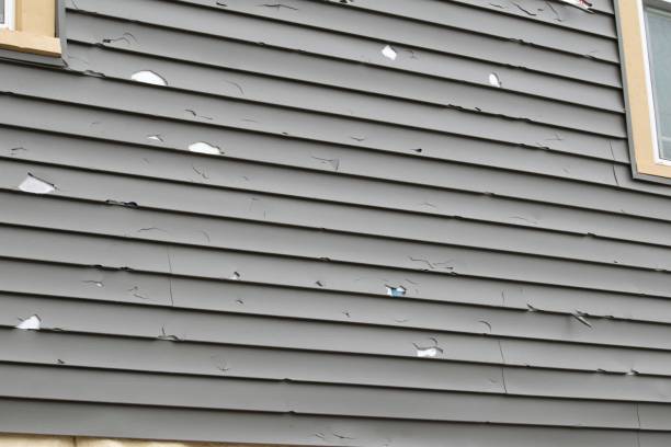 Affordable Siding Repair and Maintenance Services in Trophy Clu, TX