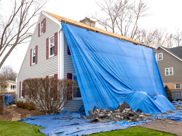 Best Wood Siding Installation  in Trophy Clu, TX